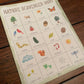 Nature Scavenger Hunt Activity|INSTANT PRINTABLE DOWNLOAD| Treasure Hunt Game| Outdoor I Spy Worksheet| Preschool Kindergarten Toddler